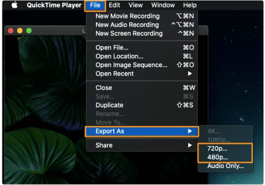 How to Remove Audio from Video on Mac - Step 3
