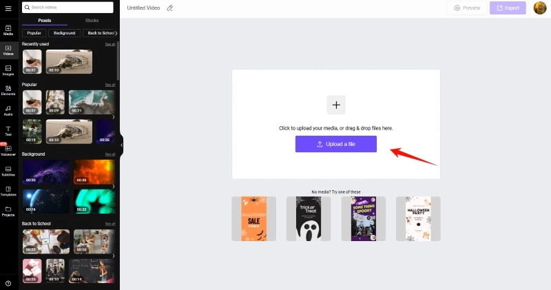 Add Lyrics to Video - Vidnoz AI Editor