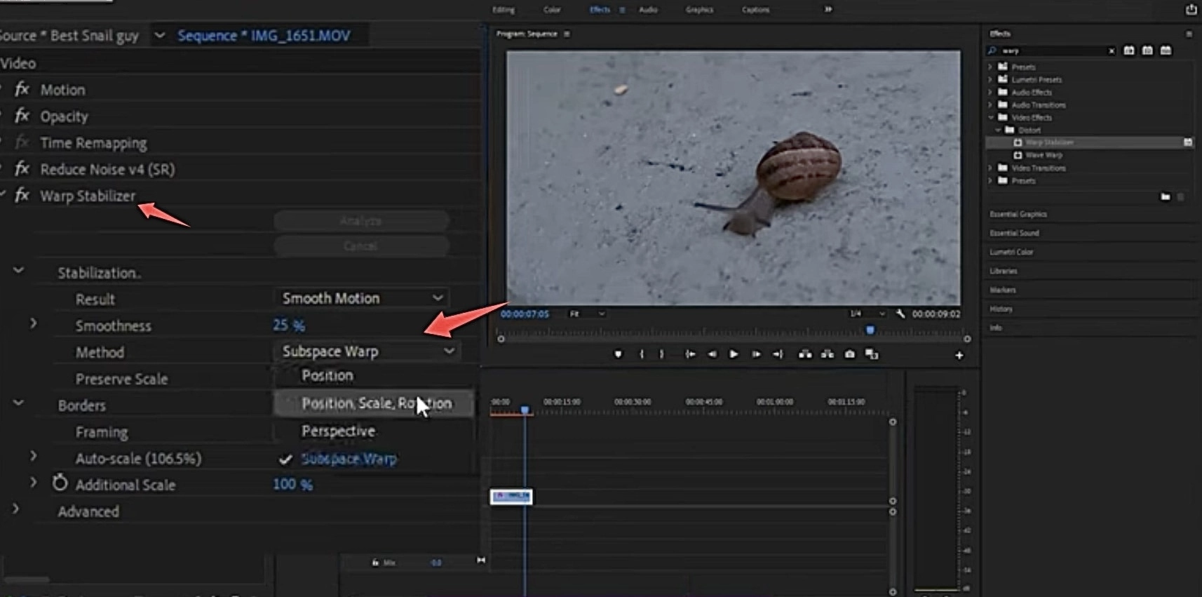 Adobe Warp Stabilizer
