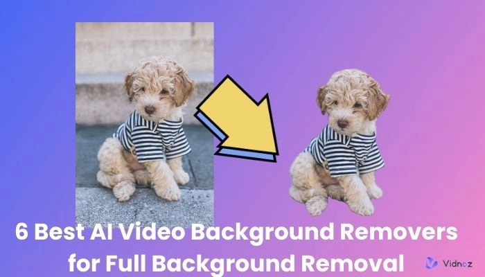 6 Best AI Video Background Removers: Remove Background from Video in One-click