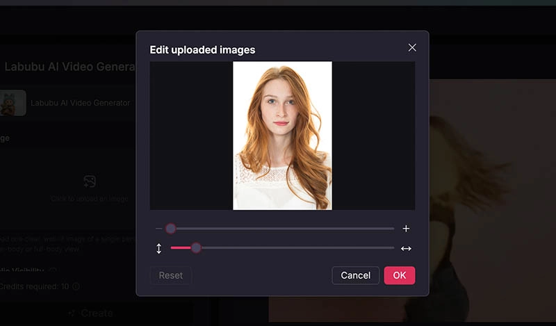 AI Doll Generator Pollo AI Adjust