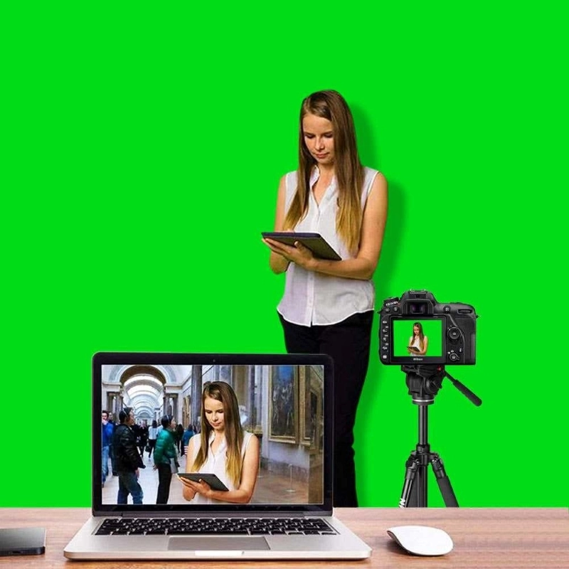 AI Green Screen Business