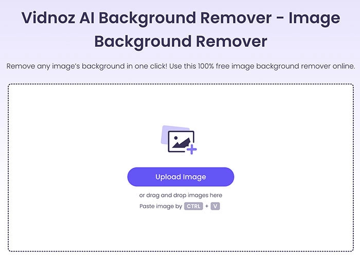 AI Image Extender Vidnoz Background Remover