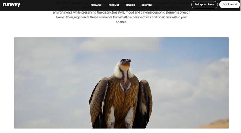 AI Time Traveler - Runway ML