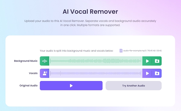 Analysis Result of Vidnoz AI Vocal Remover