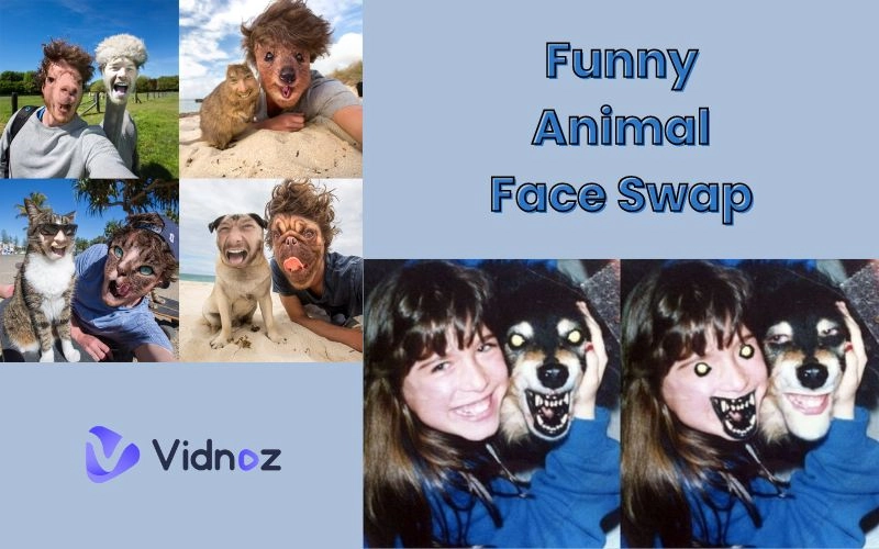 Make the Funniest Animal Face Swaps with the Best Face Swapping Tools Online