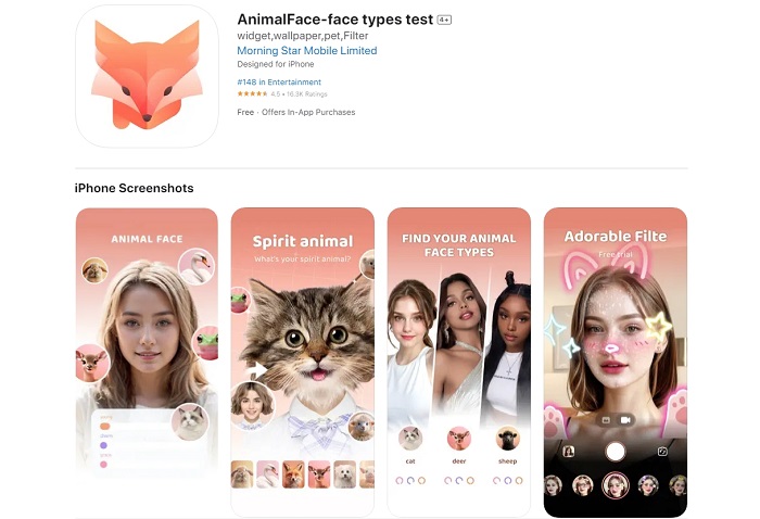 AnimalFace Face Types Test