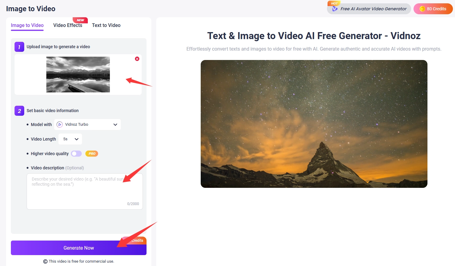 Animate a Grayscale Photo with Vidnoz AI Image to Video