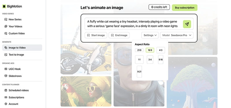 Bigmotion AI Input Prompt