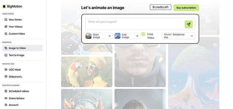 Bigmotion AI Upload Image