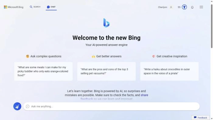 Bing Interface