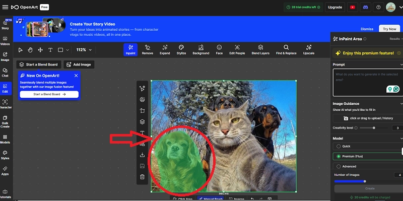 Brush Inpainting Area