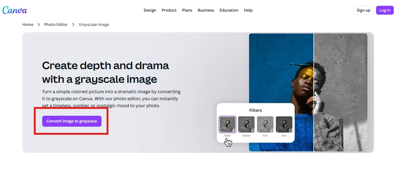 Canva Grayscale Picture Converter