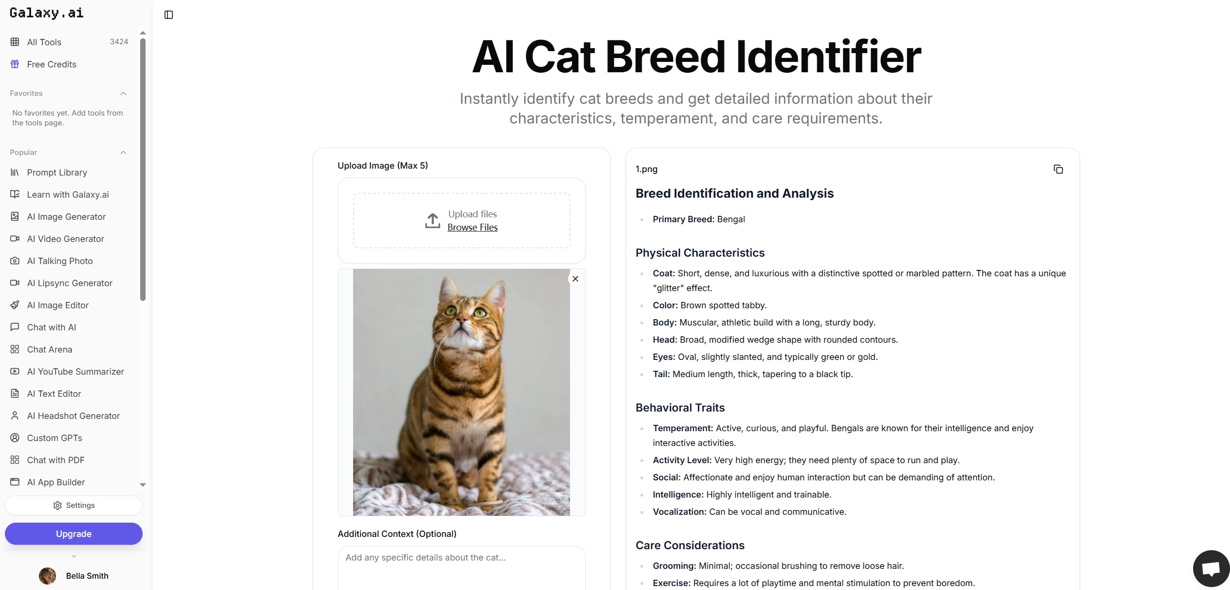 Cat Breed Identifier Galaxy AI