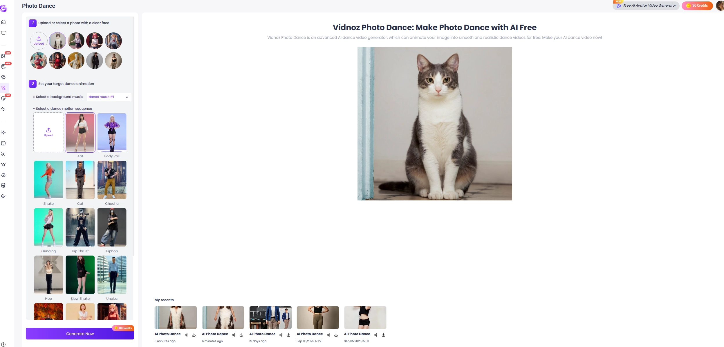 Cat Breed Identifier Vidnoz Dance Cat