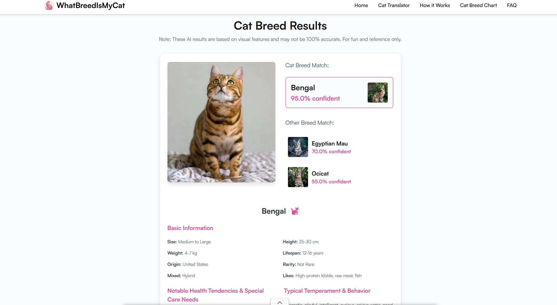 Cat Breed Identifier Whatbreedlsmycat