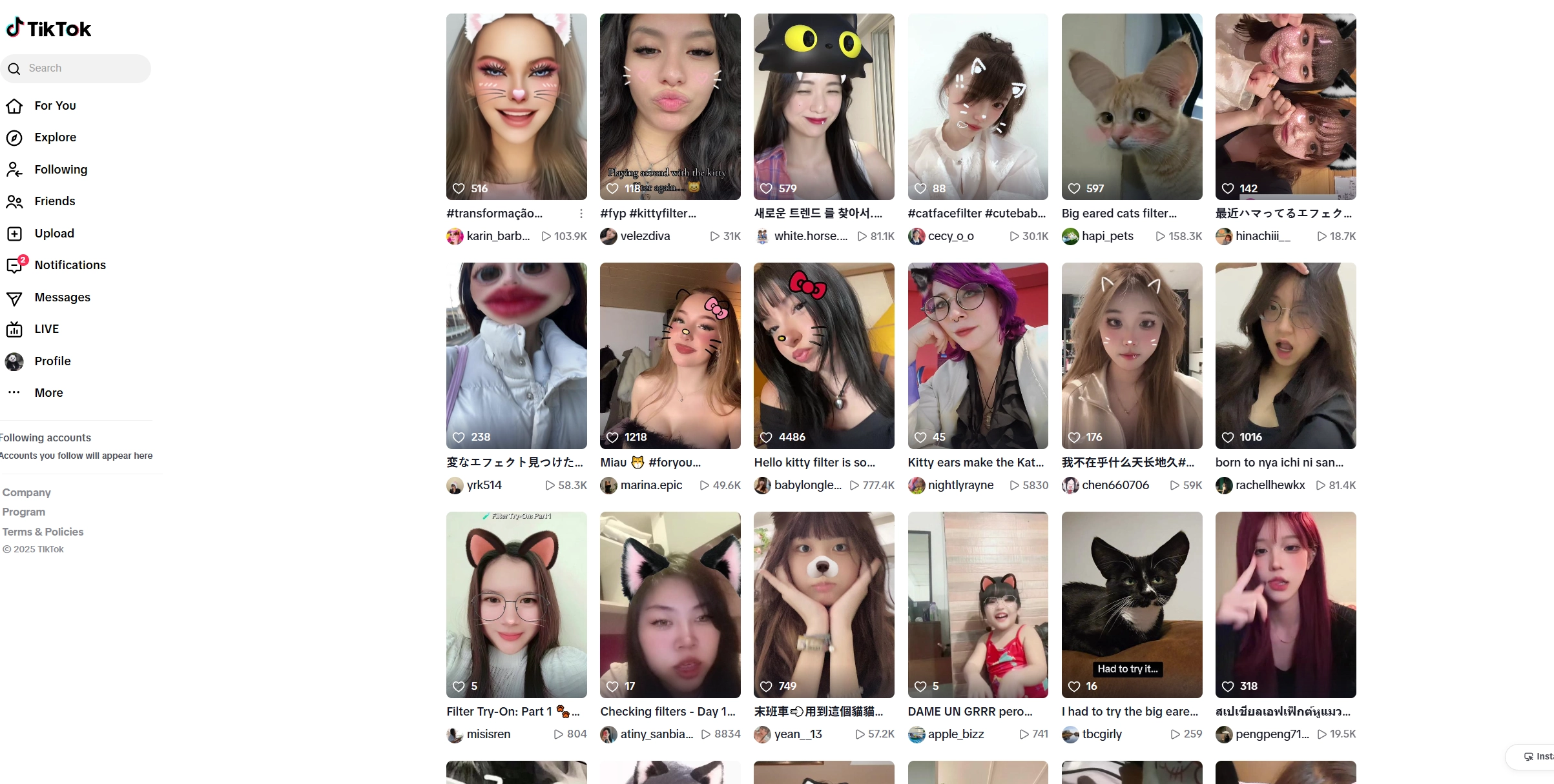 Cat Ear Filter TikTok