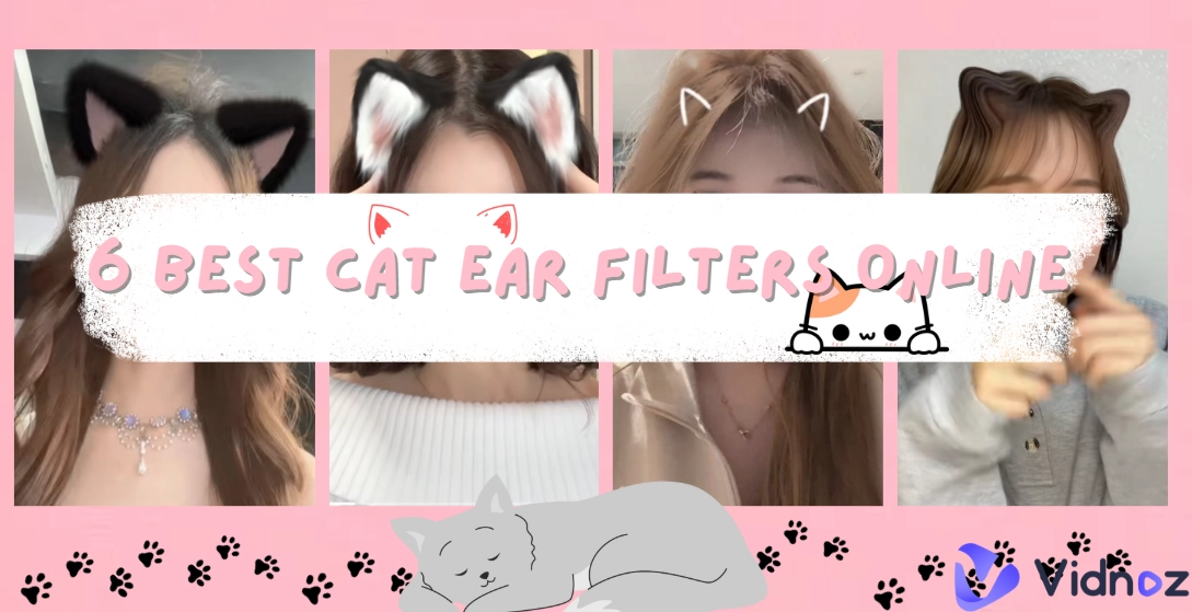 6 Best Cat Ear Filters Online: Virtually Make You Look Like a Cute Cat