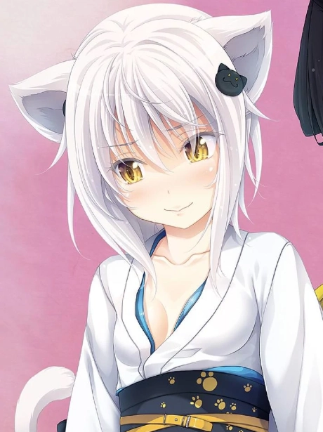 Catgirl Anime High School DXD