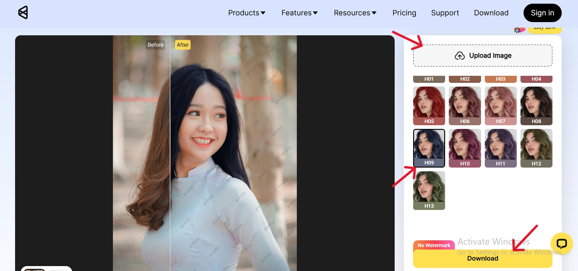 Changing Calico Hair Color Online with Evoto