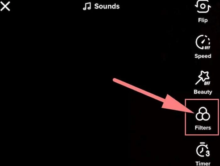 Choose a Suitable Filter with TikTok