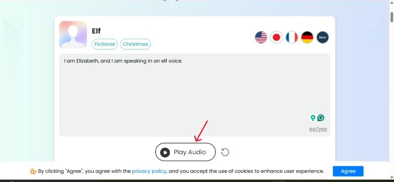 Click on the Play Audio Button