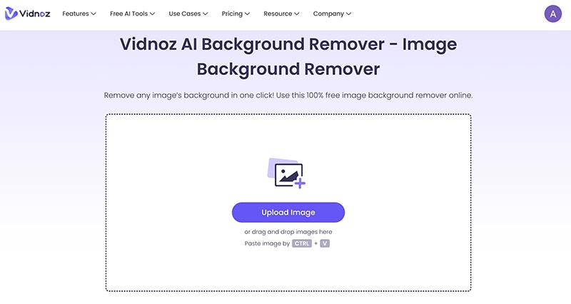 Convert JPG to Transparent PNG Vidnoz AI BG Remover