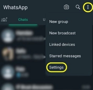 Create WhatsApp Avatar on Android 1