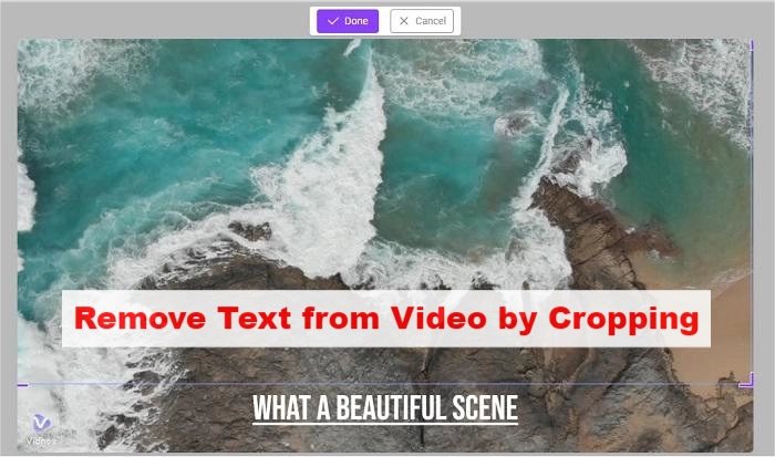 Remove Text from Video by Cropping