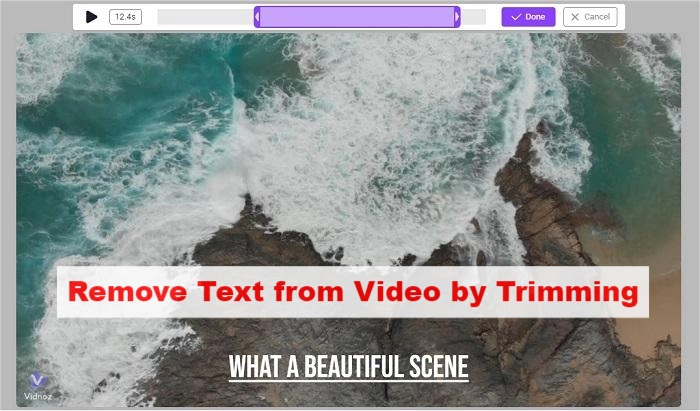 Remove Text from Video by Trimming