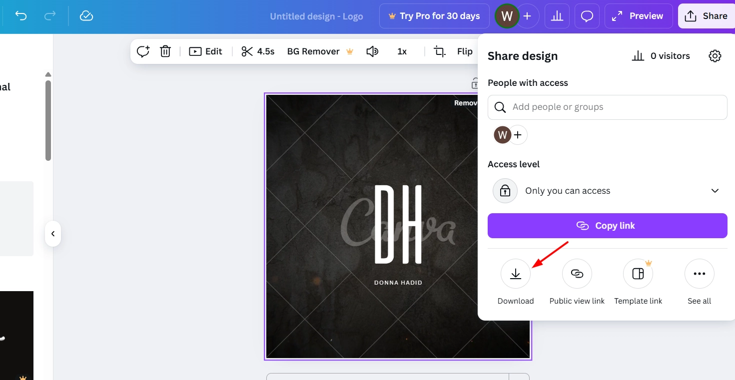 Download Animated Logo from Canva
