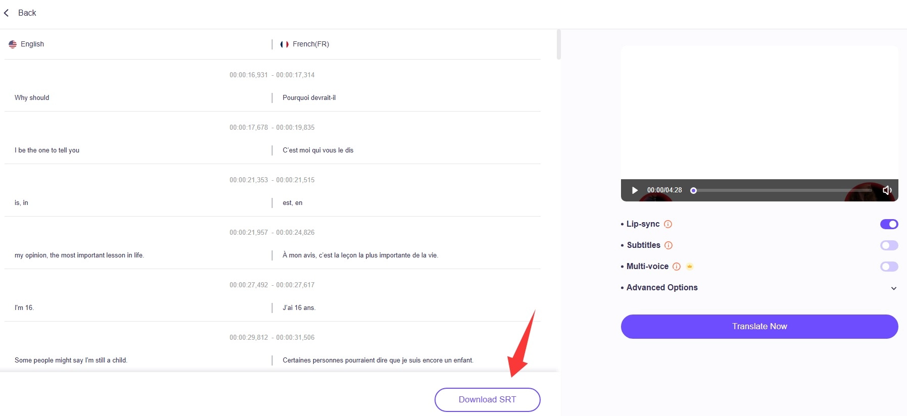 Download MP4 to SRT File