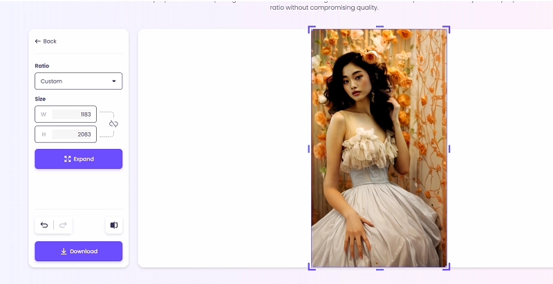 Download the AI Extended Image