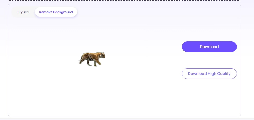 Download the Vidnoz AI Cleaned Picture