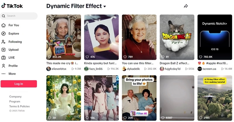 Dynamic Photo Filter TikTok