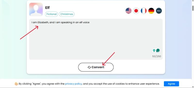 Enter Text and Click Convert