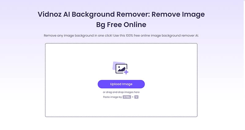Erase Parts of Image Vidnoz Background