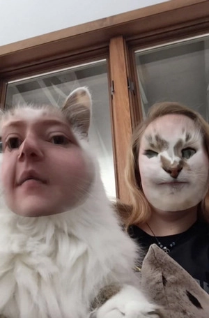 Face Swap with My Cat