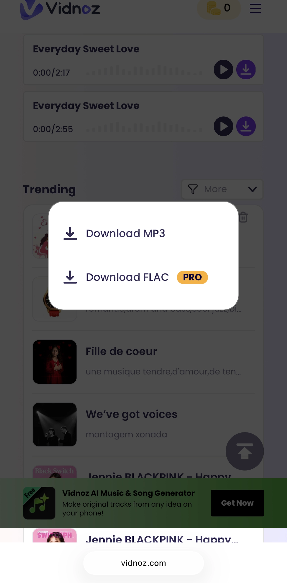 Find the Music Downloaded from Vidnoz on iOS - 1