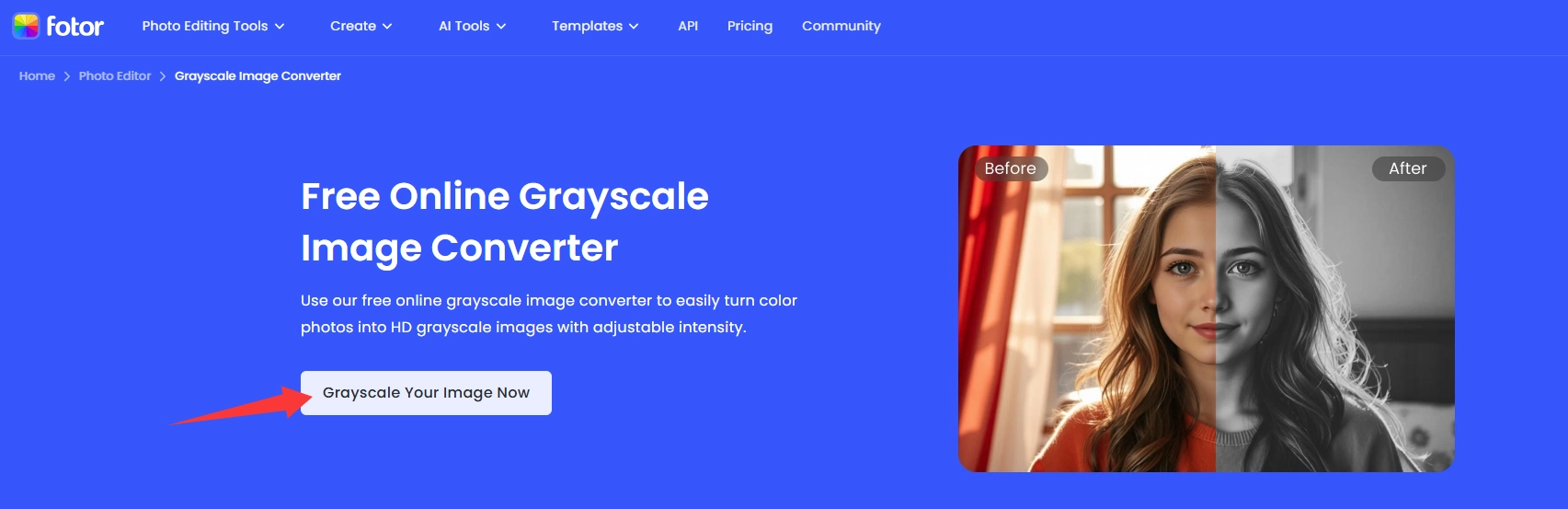 Fotor Grayscale Image Converter