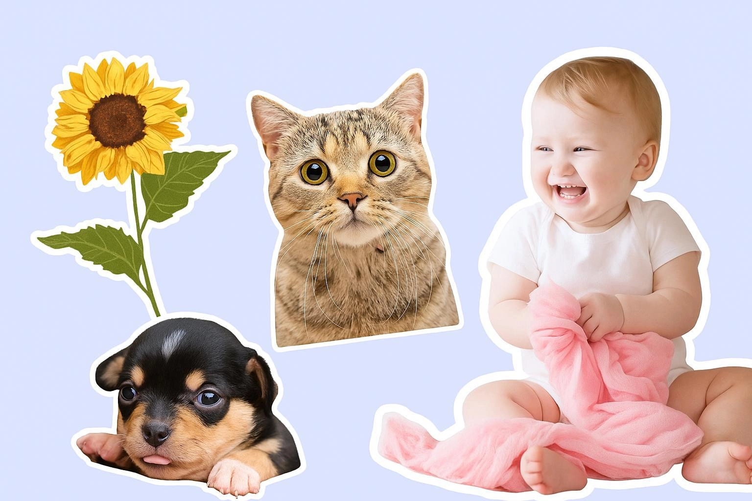 Fotor Picture Outliner