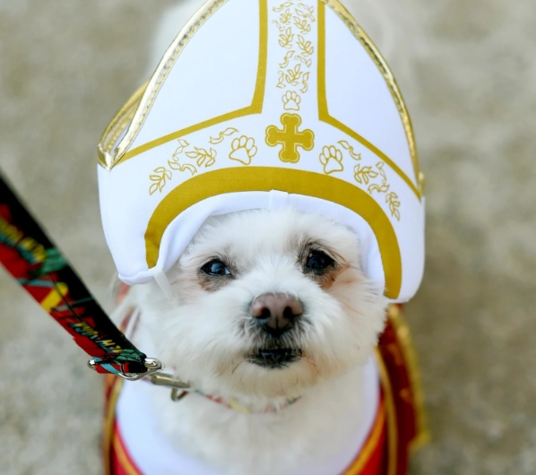 Funny AI Generated Image 1