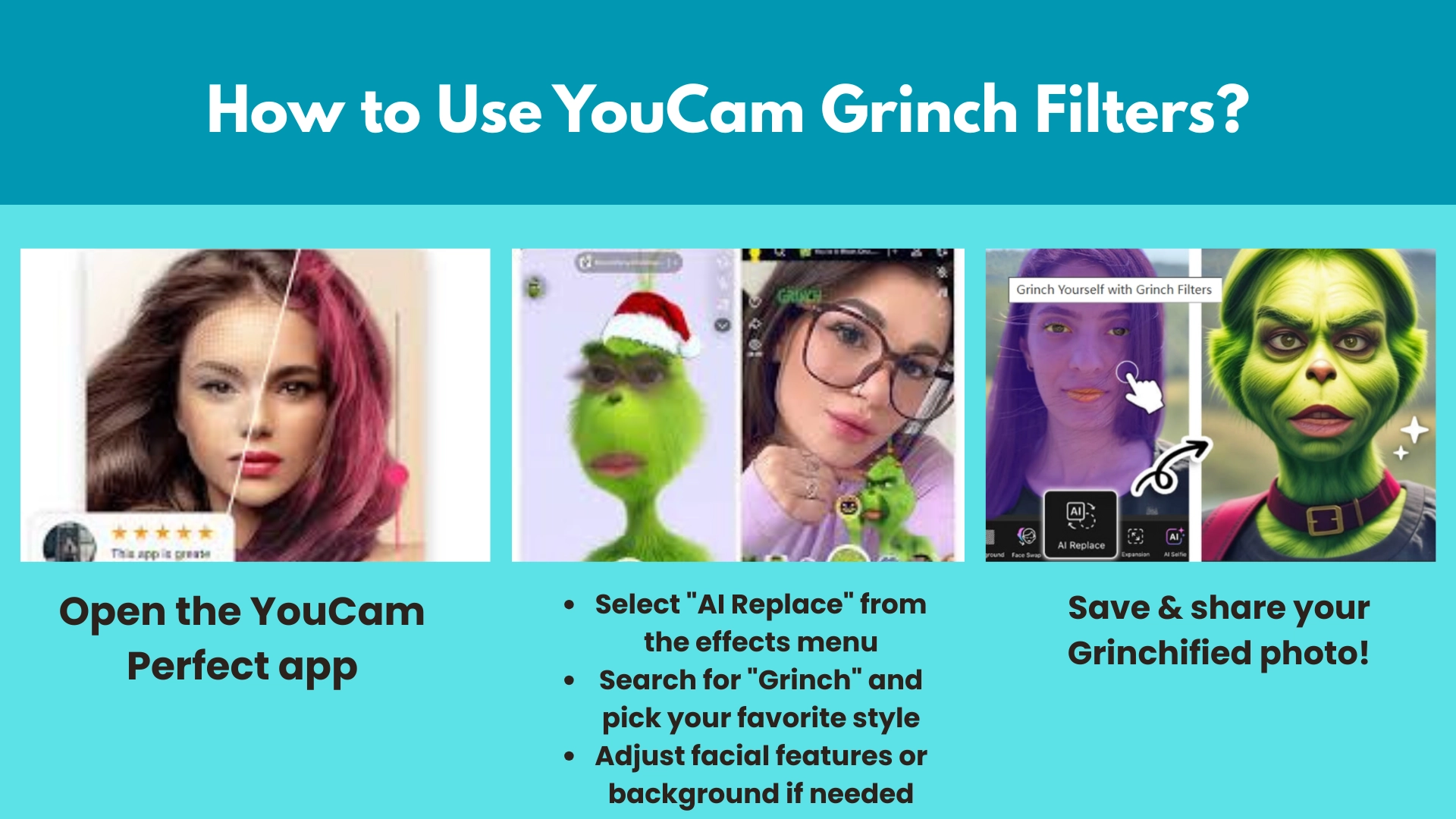 Grinch Filter Perfect Corp 1