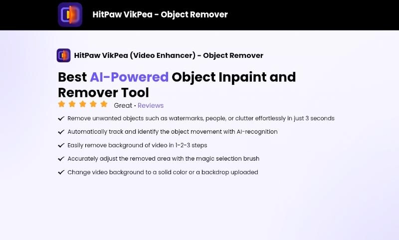 HitPaw Video Object Remover Tool Interface