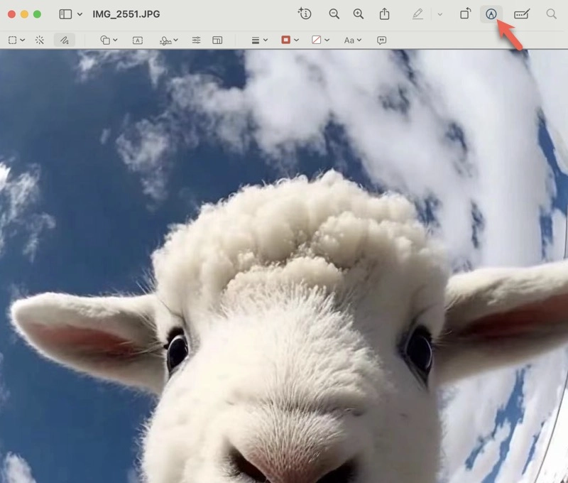 How to Annotate an Image on Mac