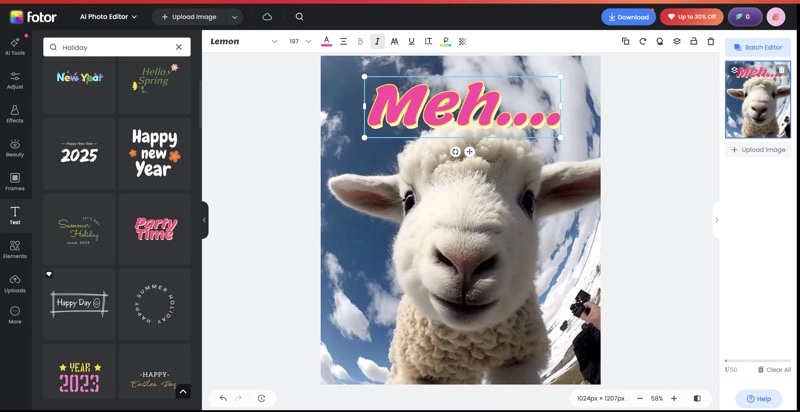 How to Annotate an Image with Fotor