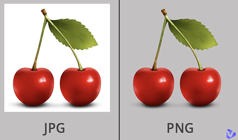 3 Free Ways to Convert JPG to Transparent PNG Online AI