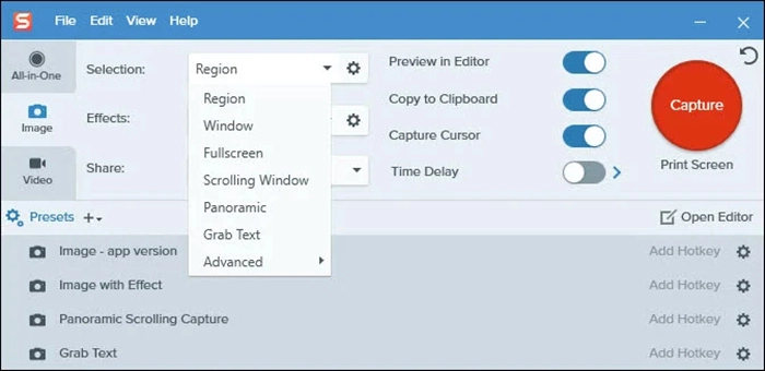 Snagit Record Webex Meeting with Audio