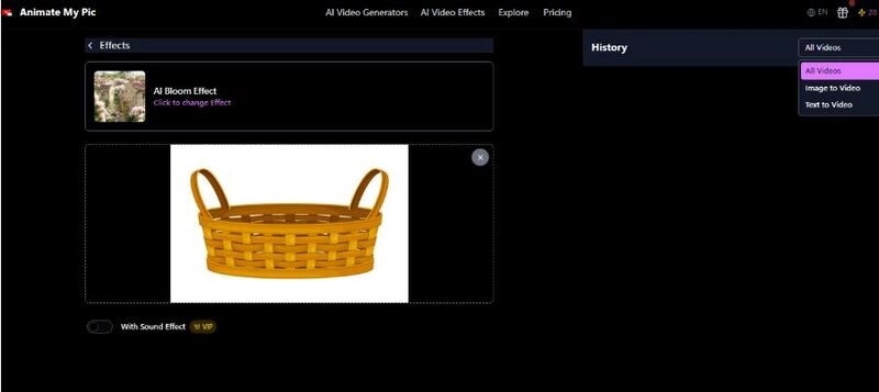 How to Use AnimateMyPic - Step 2