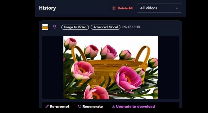 How to Use AnimateMyPic - Step 3